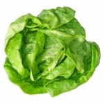 lettuce