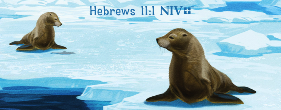 NIV Adventure Bible Polar Exploration Edition – Review & Giveaway NIV Adventure Bible Polar Exploration Edition – Review & Giveaway